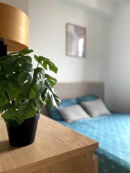 Appartement 2 Pieces A Quelques Minutes De Paris Le Pré-Saint-Gervais Екстериор снимка